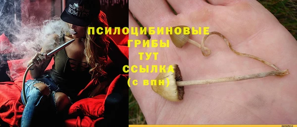 apvp Протвино